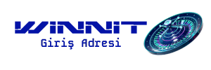 winnitgiris-logo